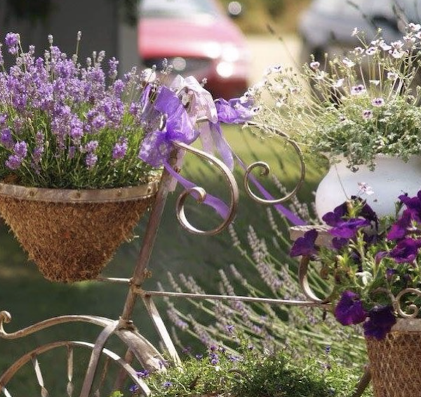 Spring in Provence is waiting for You