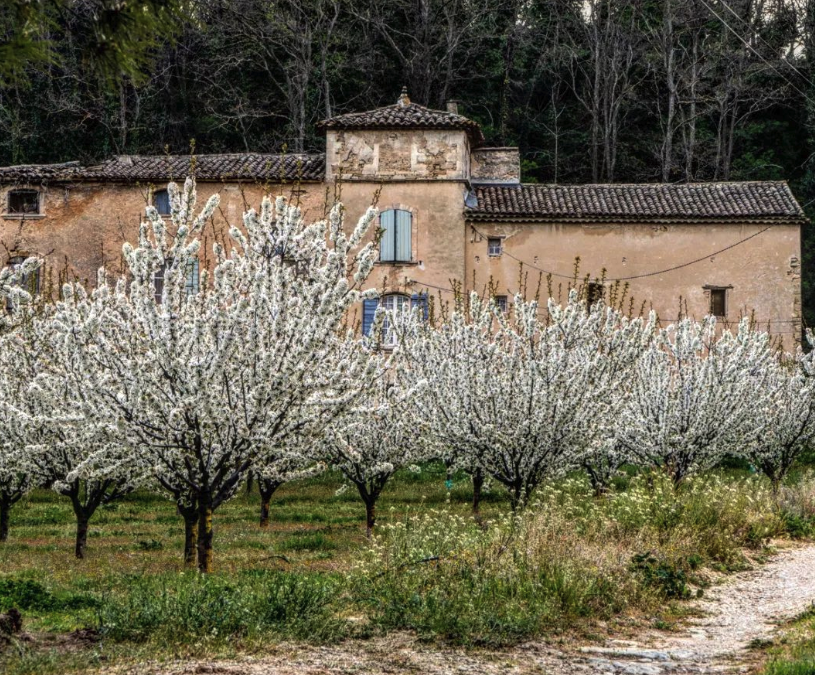 The Colors of Spring in Provence